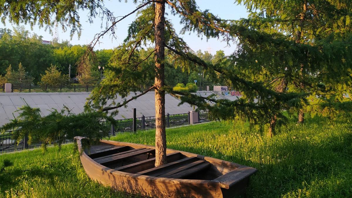 Ясеня не спросят
